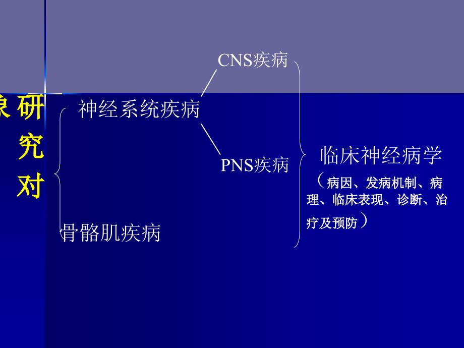 神经病学总论3PPT课件_第4页