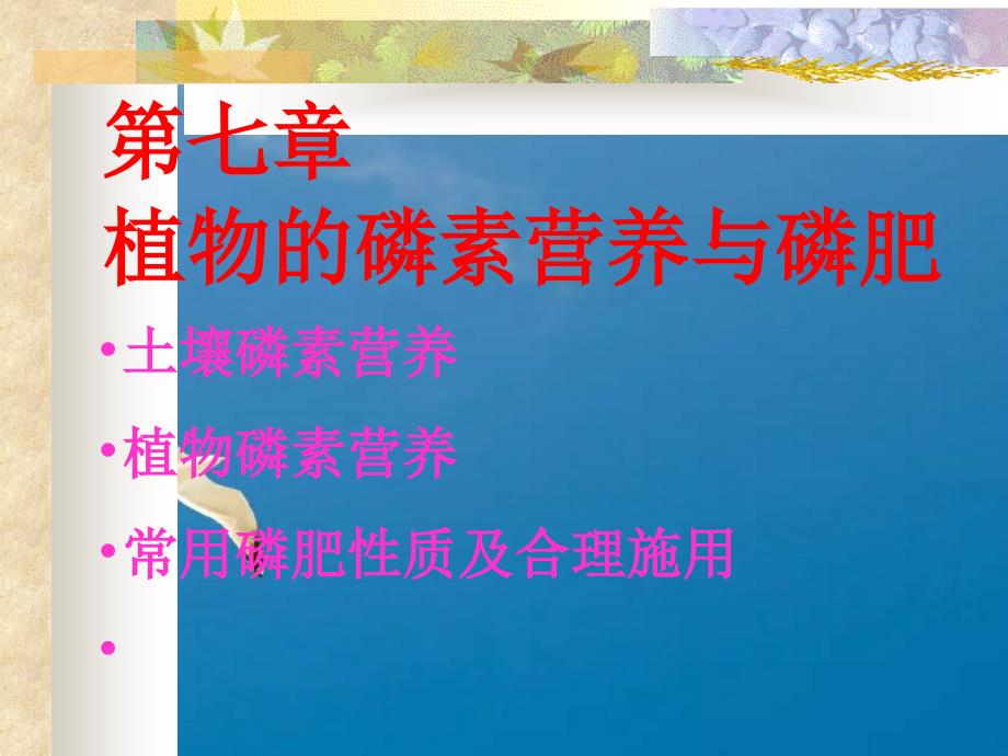 土壤磷素营养ppt课件_第1页