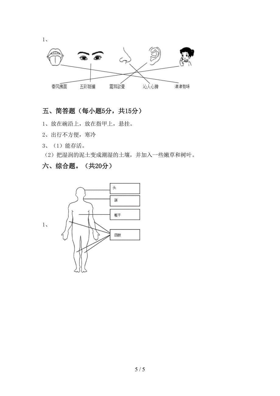 青岛版二年级科学上册期中试卷及答案2.doc_第5页