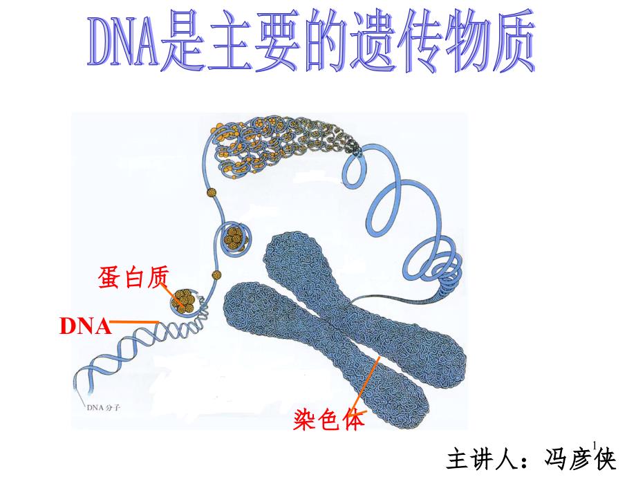 肺炎双球菌转化实验PPT精品文档_第1页