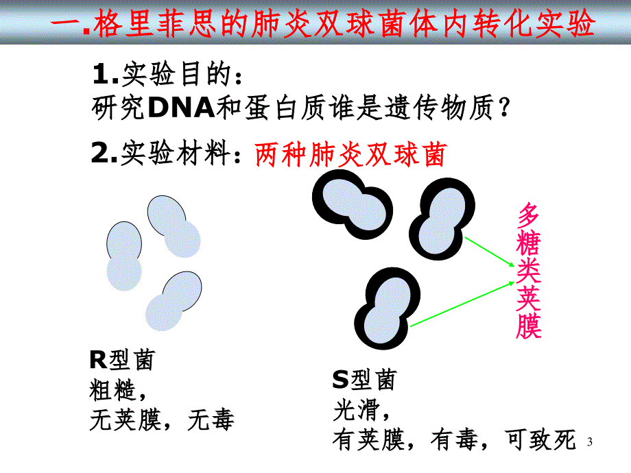 肺炎双球菌转化实验PPT精品文档_第3页