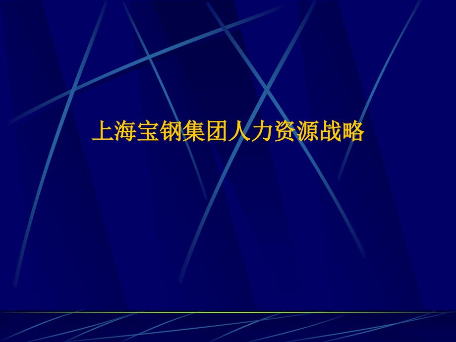 最新04上海宝钢集团人力资源_第1页