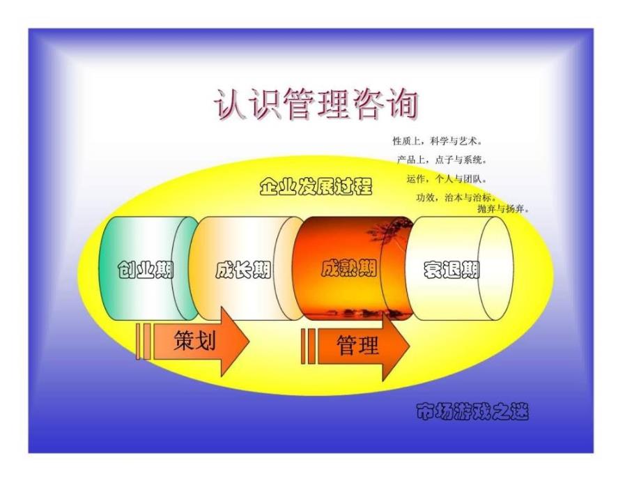 管理咨询顾问课程_第3页