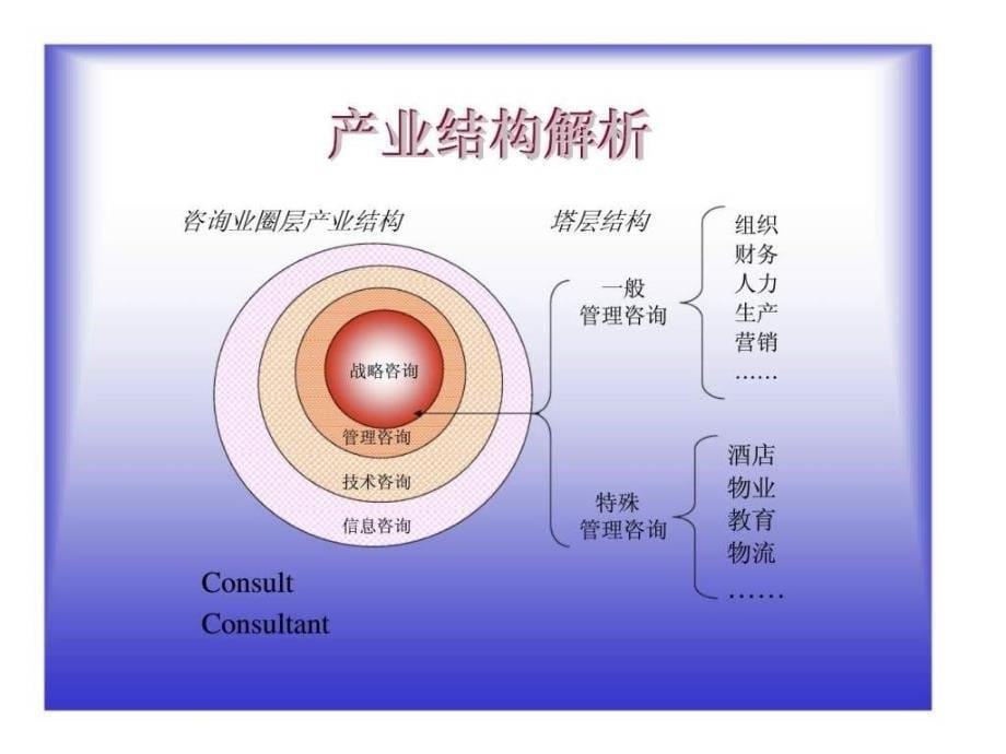 管理咨询顾问课程_第5页