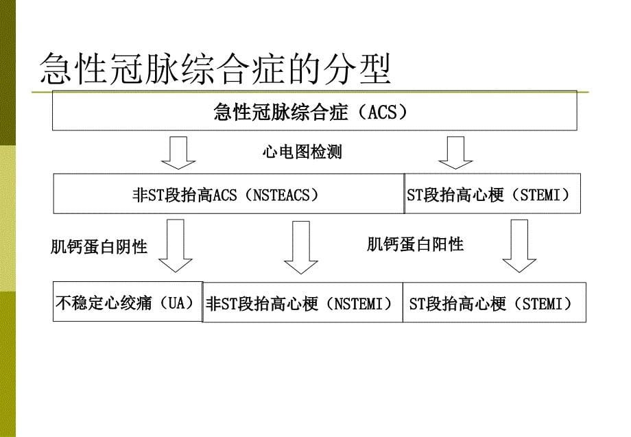 TnT在急性冠脉综合征中的应用_第5页