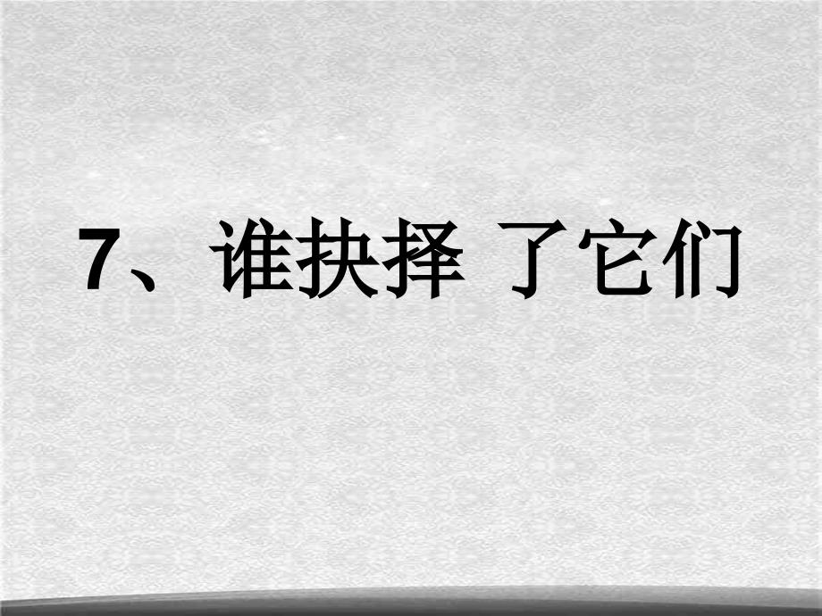 教科小学科学六上4.7谁选择了它们课件4ppt_第1页