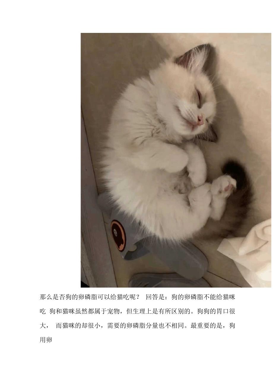 猫卵磷脂的功效介绍_第2页