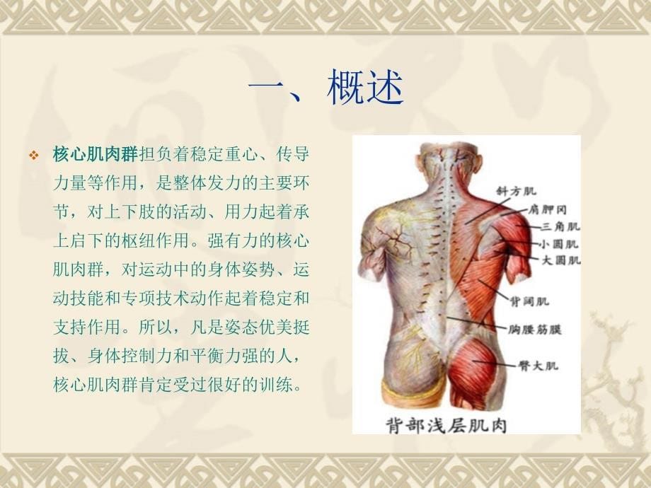 核心肌力训练_第5页