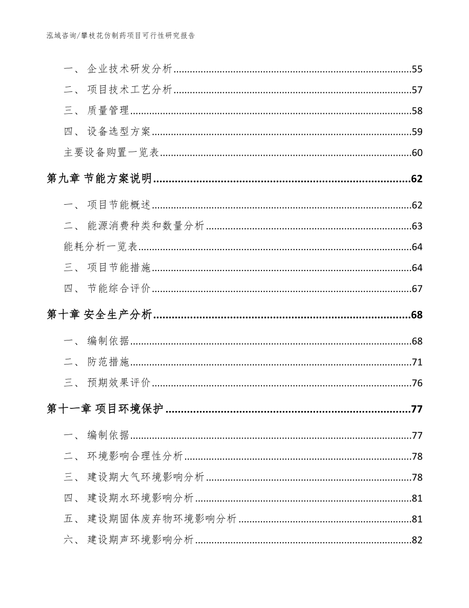 攀枝花仿制药项目可行性研究报告【参考模板】_第4页