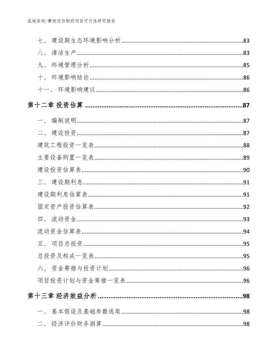 攀枝花仿制药项目可行性研究报告【参考模板】_第5页