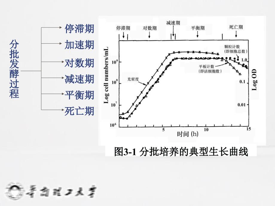 第4章发酵培养技术_第4页