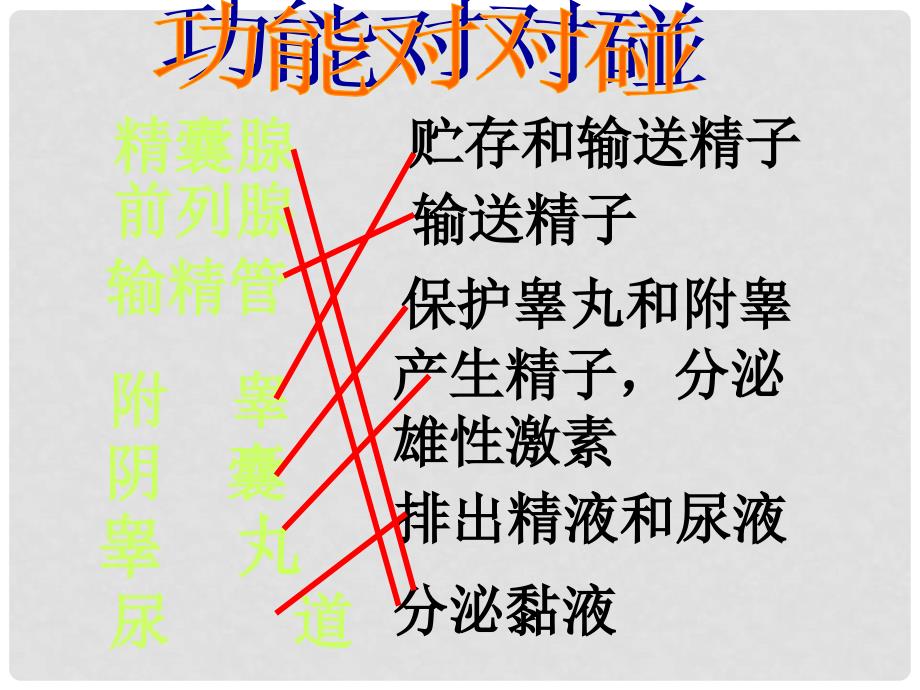 山东省淄博市临淄区实验中学七年级生物下册 人的生殖（第一课时）课件 新人教版_第4页