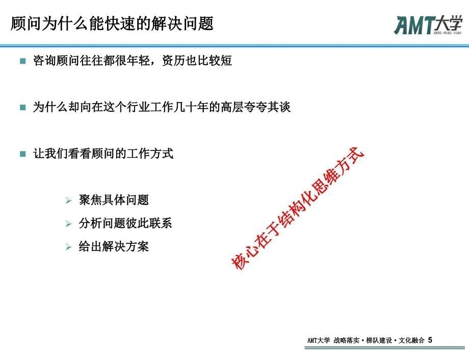 询顾问一样思考结构化思维学员本_第5页