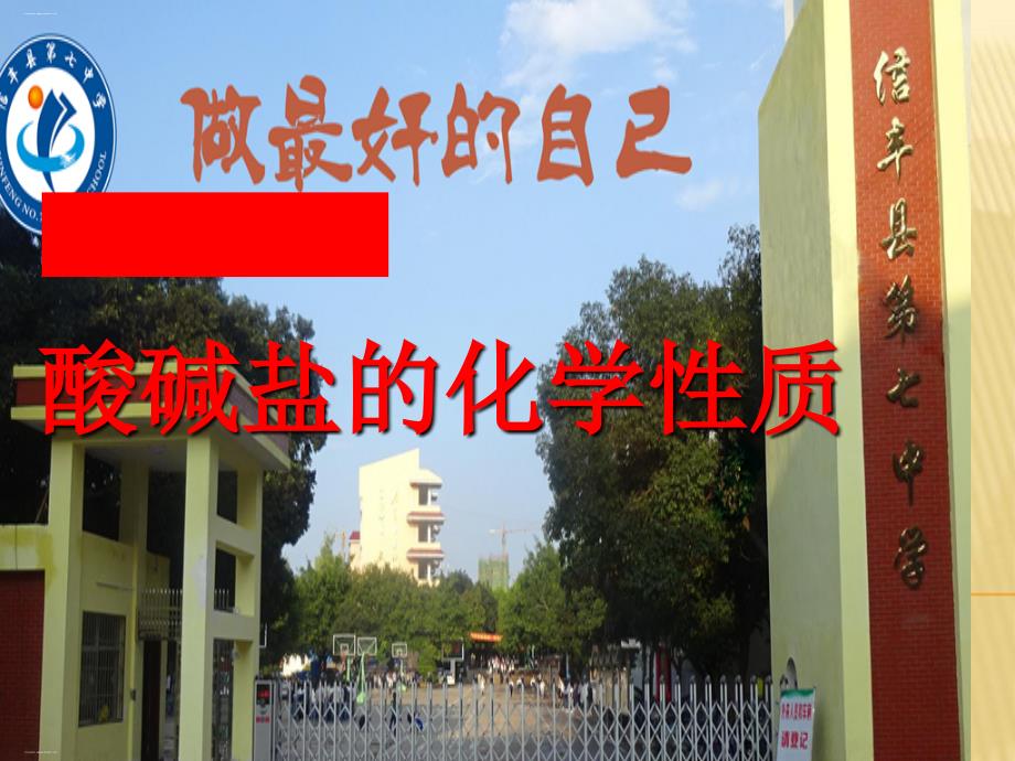 中考化学专题复习：酸碱盐的化学性质课件_第1页