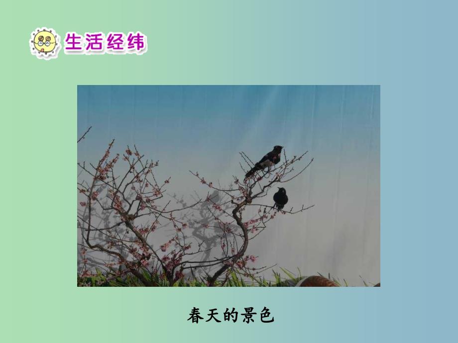 一年级品生下册《春天在哪里》课件1 北师大版.ppt_第4页