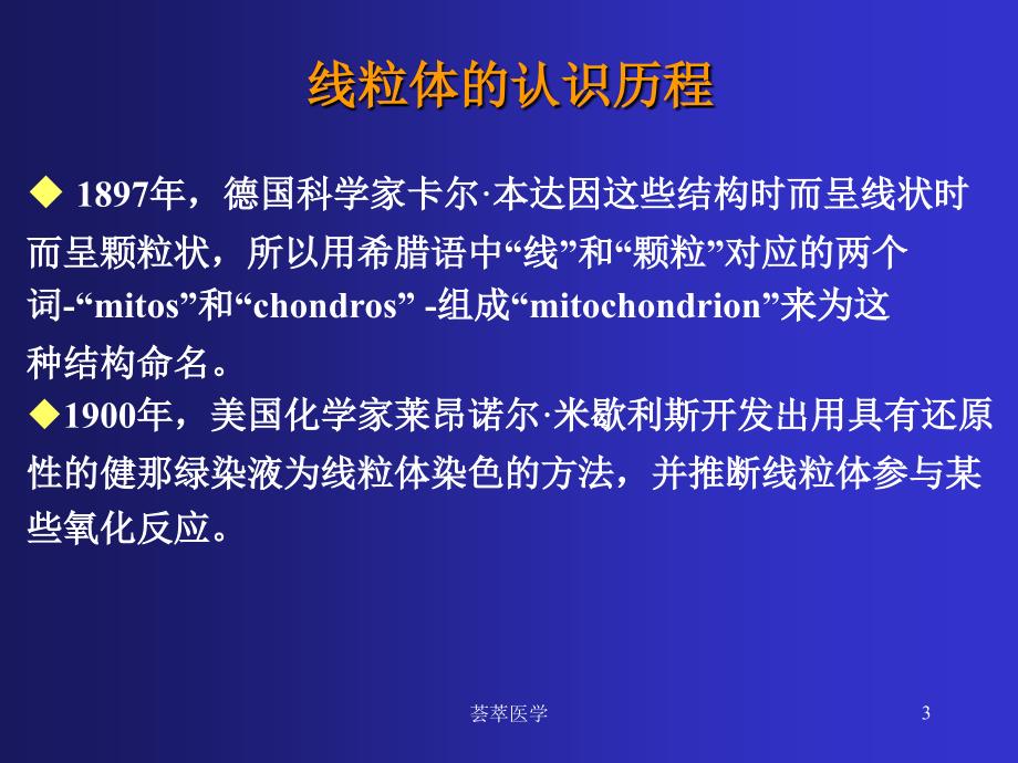 线粒体与疾病专业医疗_第3页