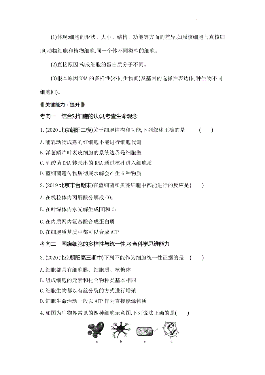 高三生物一轮复习细胞的多样性和统一性导学案 .docx_第4页