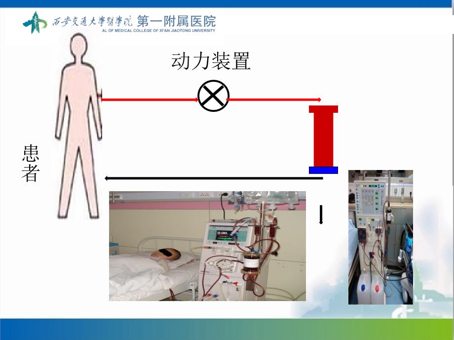 血液灌流操作流程课件_第2页