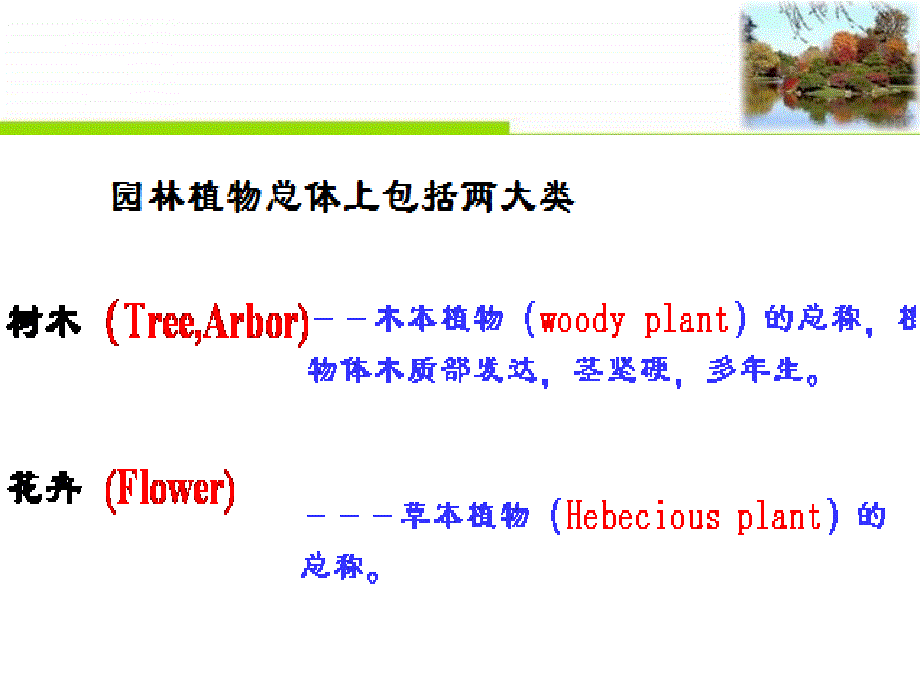 园林植物造景的基本形式ppt课件_第2页