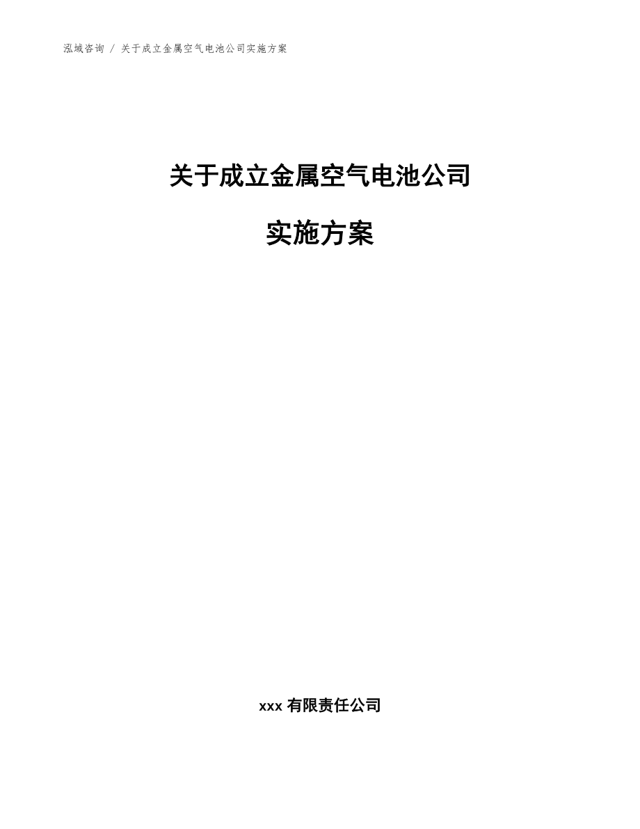 关于成立金属空气电池公司实施方案（范文）_第1页