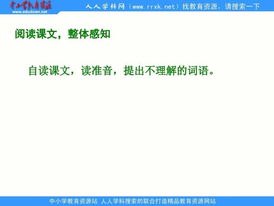 湘教版四年级下册看戏课件_第5页