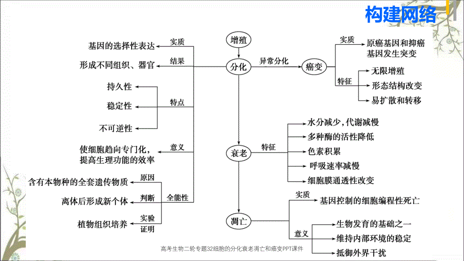 高考生物二轮专题32细胞的分化衰老凋亡和癌变PPT课件_第3页