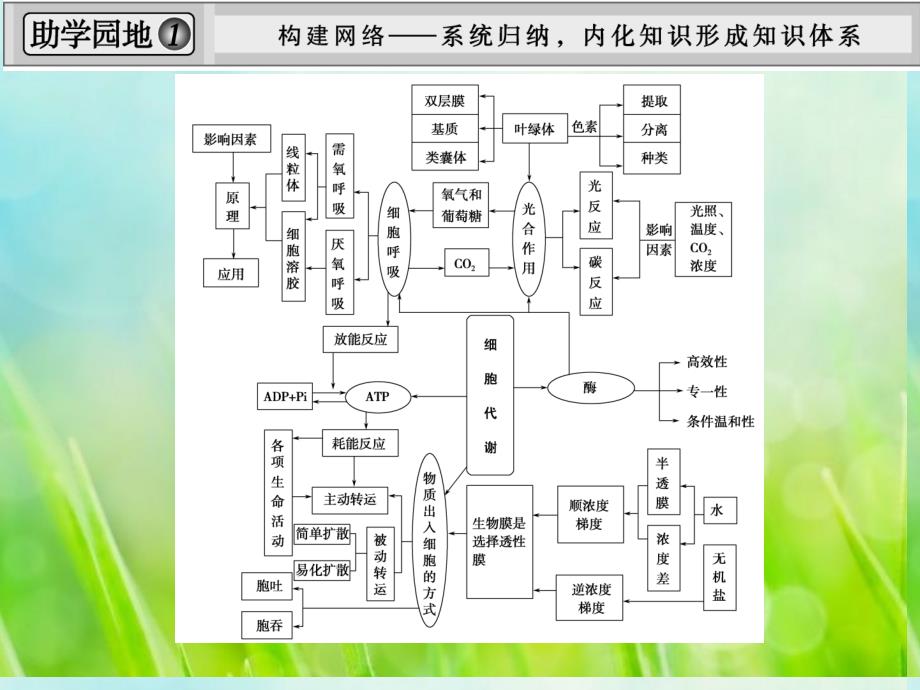 高考生物一轮复习-1-3-单元整合ppt课件-教科版_第2页