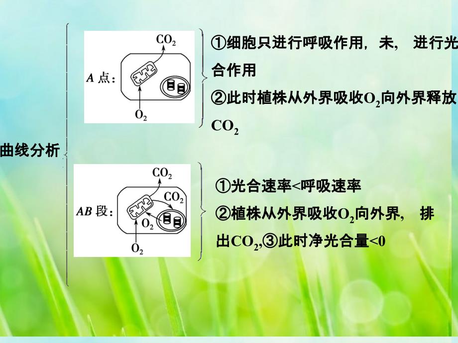 高考生物一轮复习-1-3-单元整合ppt课件-教科版_第4页