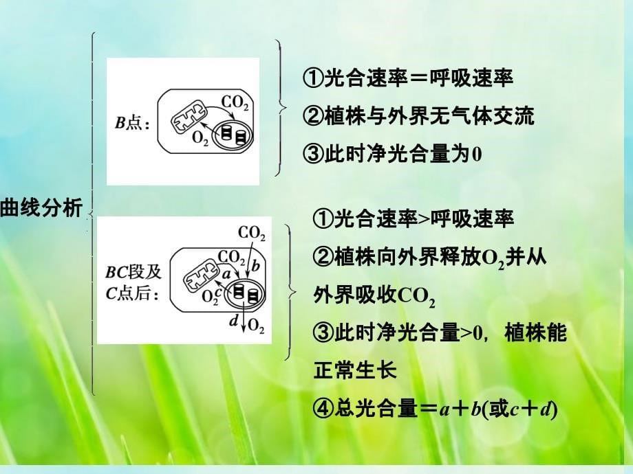 高考生物一轮复习-1-3-单元整合ppt课件-教科版_第5页