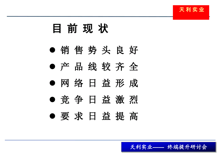 天利实业终端提升研讨_第2页