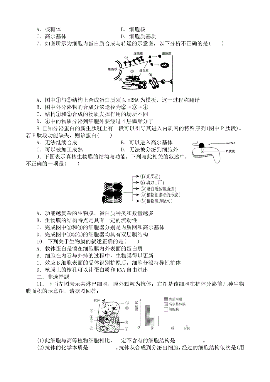 朔城区一中限时练04.doc_第2页