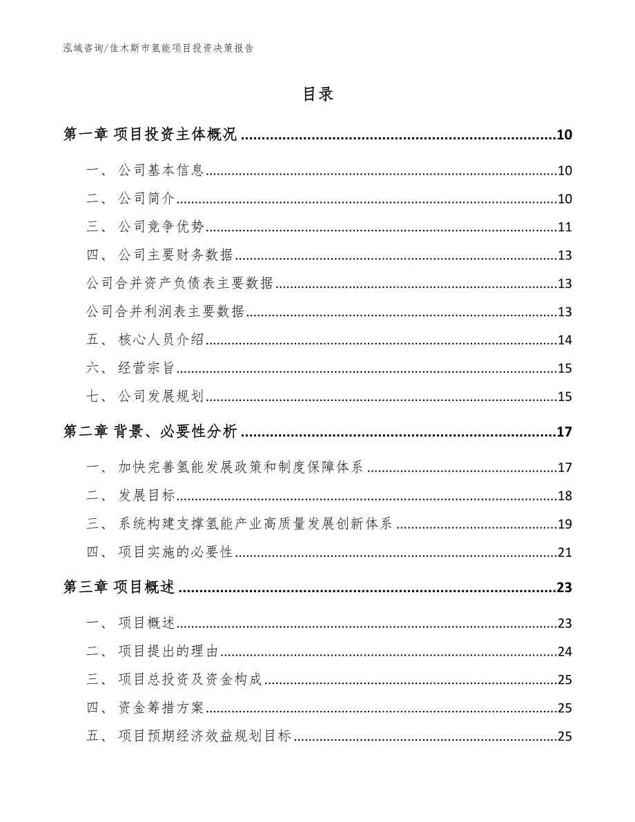 佳木斯市氢能项目投资决策报告模板范本_第2页