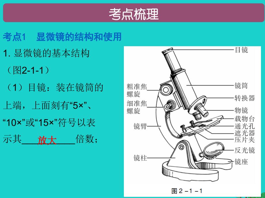 中考生物 第二单元 第一章 细胞是生命活动的基本单位复习课件1_第2页