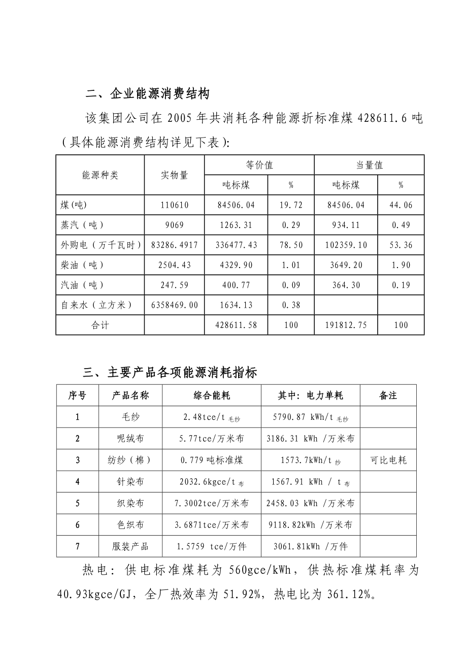 集团公司能源审计报告_第3页