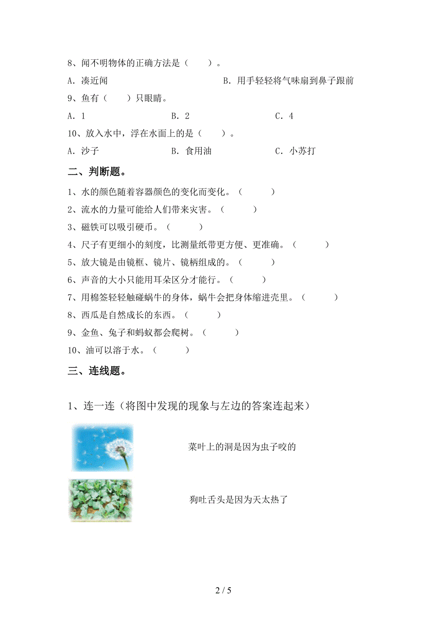 2022年人教版一年级科学上册期中考试(A4版).doc_第2页