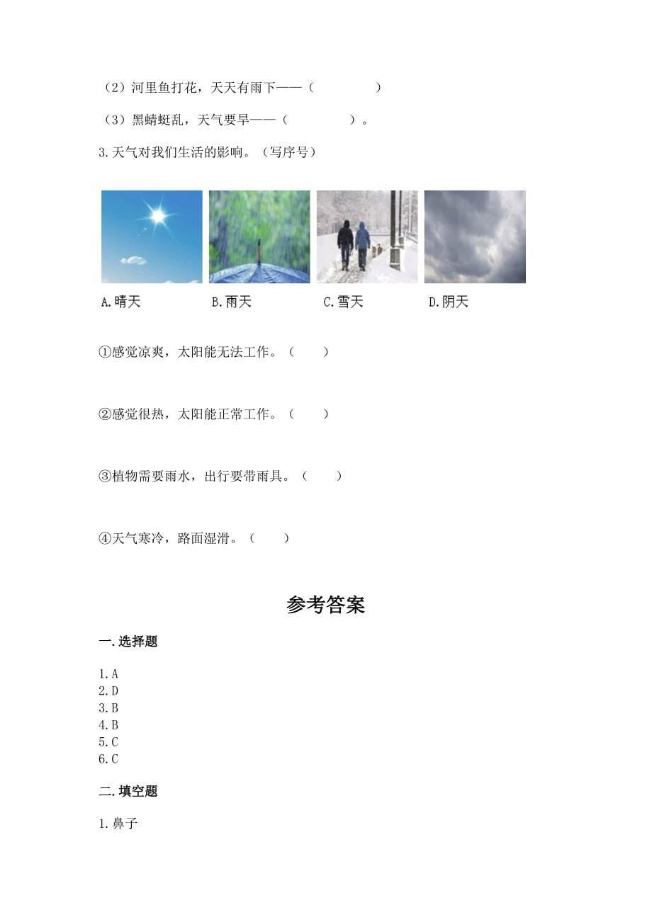 2022教科版科学二年级上册《期末测试卷》含答案【研优卷】.docx_第5页