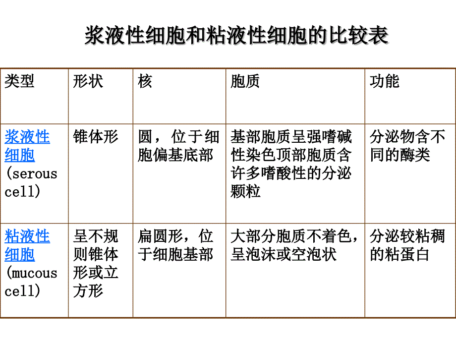 组织学与胚胎学课件：CH15 消化腺_第4页