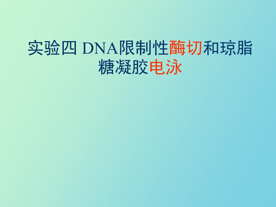 实验四DNA限制性酶切和琼脂糖凝胶电泳_第1页