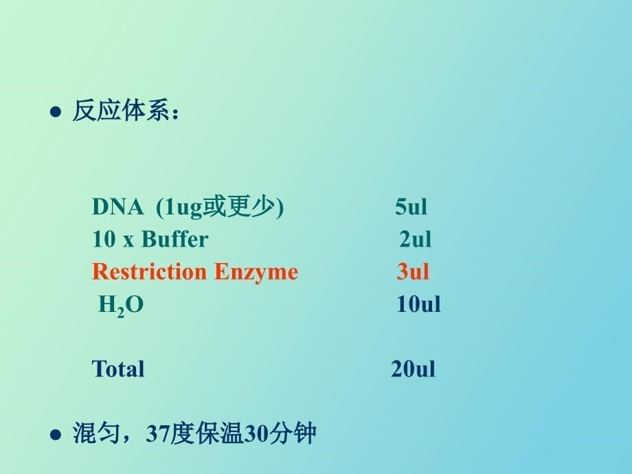 实验四DNA限制性酶切和琼脂糖凝胶电泳_第5页