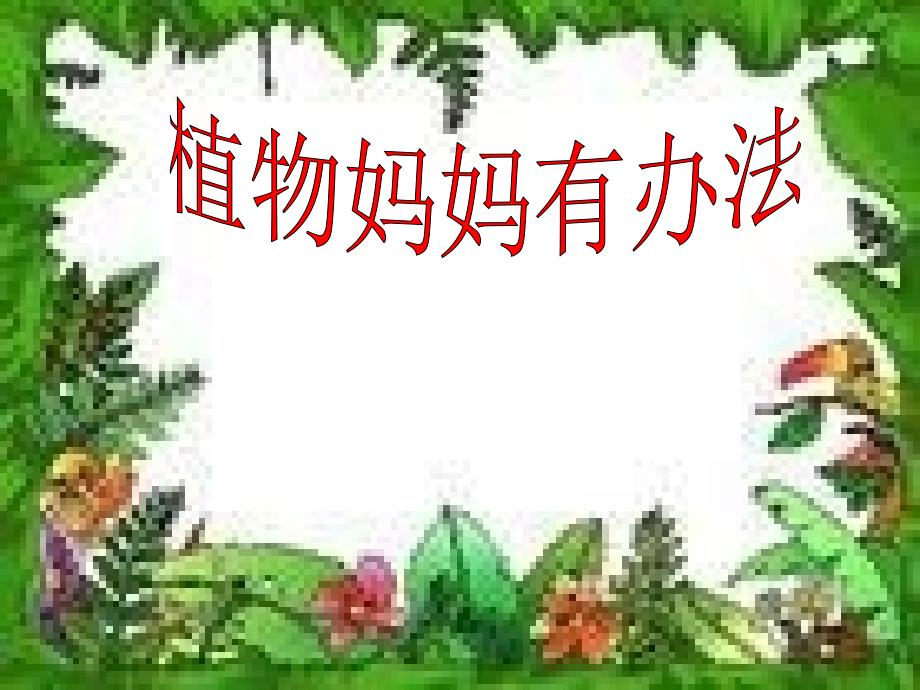 《植物妈妈有办法》_第1页