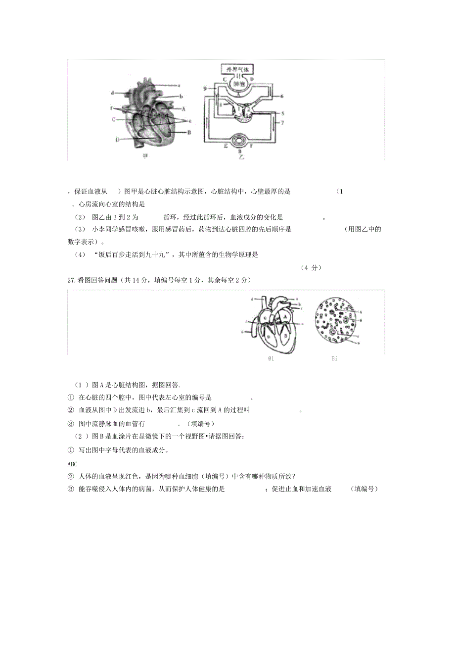 第四章人体内物质的运输测试题含答案_第5页