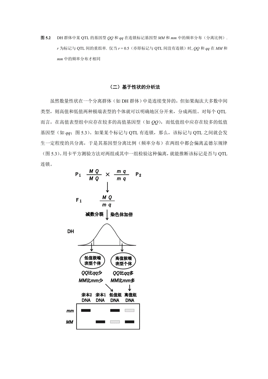 数量性状的分子标记(QTL定位的原理和方法讲义)_第4页