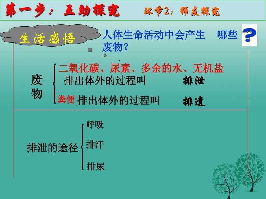 八年级生物上册 第四单元 第五章 第一节 尿的形成和排出课件 鲁科版_第5页