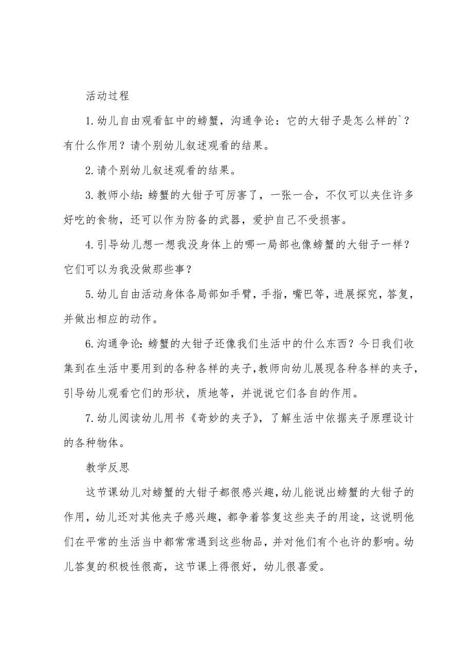 大班教案模板合集六篇.docx_第5页