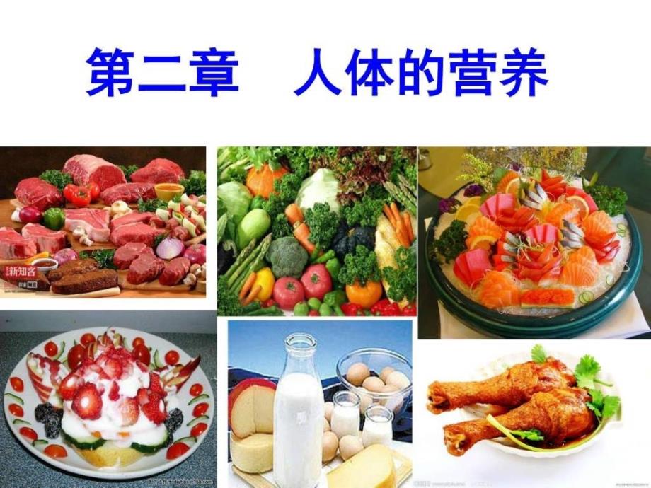 第二章第一节食物中的营养物质共34张PPT图文.ppt46_第1页