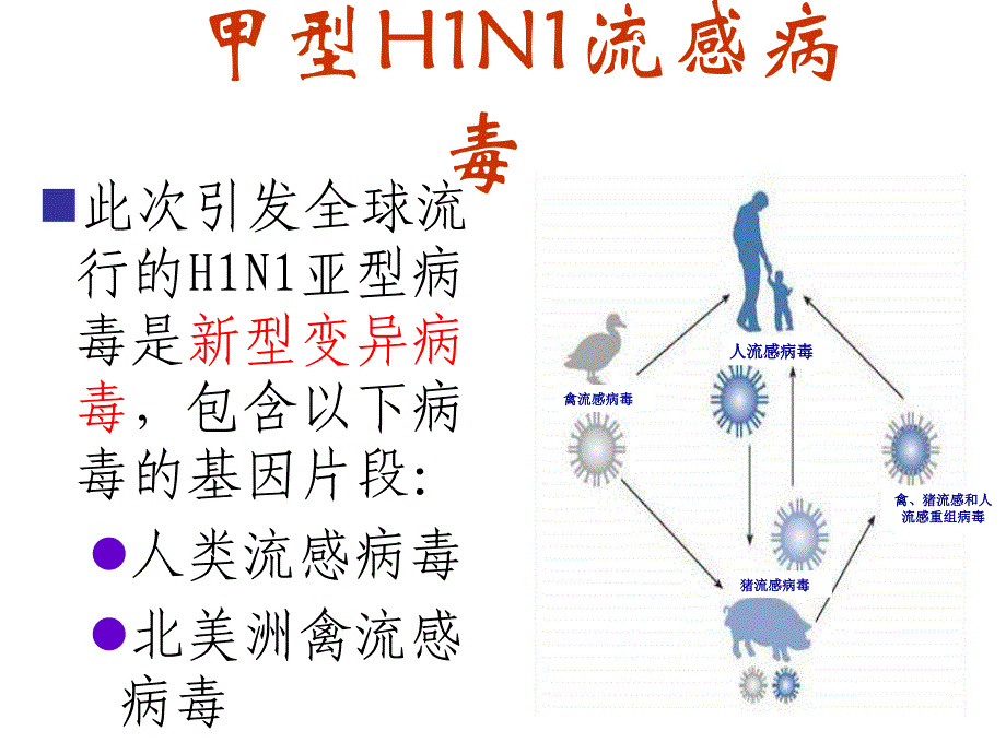 甲型H1N1流感防控主题班会_第4页