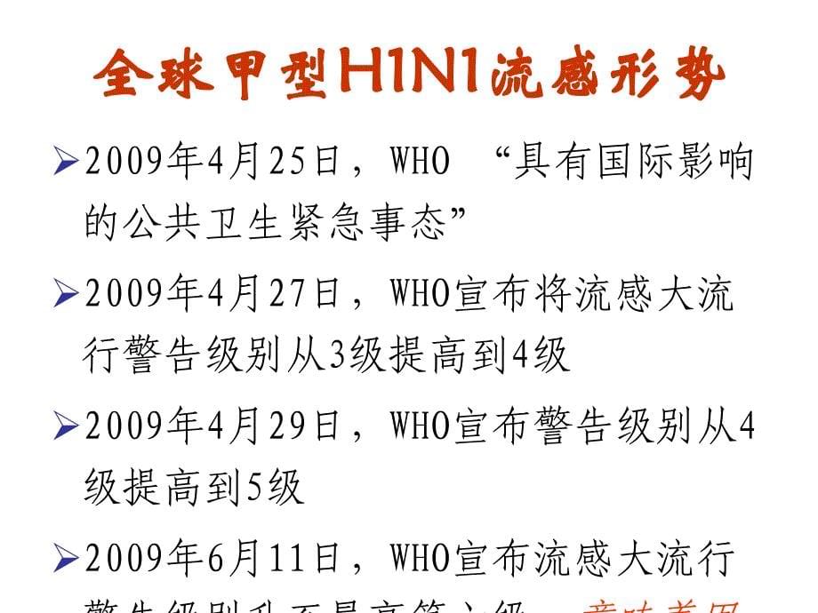 甲型H1N1流感防控主题班会_第5页