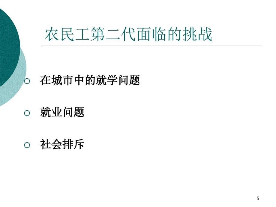 快速城市化过程中农民工第二代的梦想与挑战_第5页