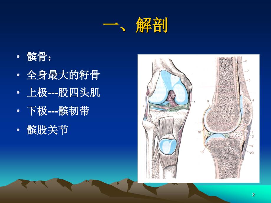 髌骨软化症的诊断及治疗PPT幻灯片.ppt_第2页