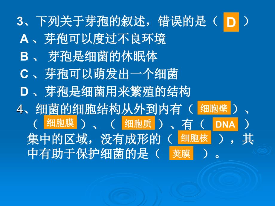 细菌的生殖方式是.ppt_第2页